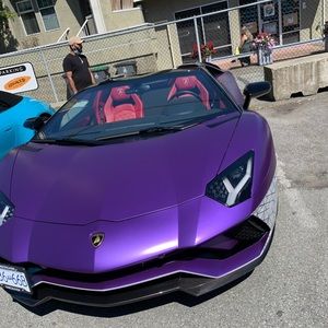 Meet your Posher, Adam